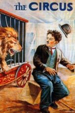 Watch The Circus Streaming