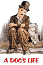 Watch A Dog’s Life Streaming