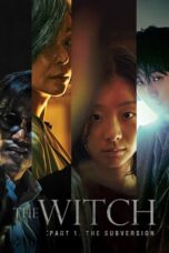 Watch The Witch: Part 1. The Subversion Streaming