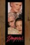 Watch Dangerous Liaisons Streaming