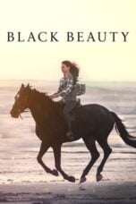 Watch Black Beauty Streaming