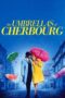 Watch The Umbrellas of Cherbourg Streaming
