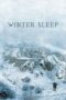 Watch Winter Sleep Streaming