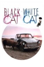 Watch Black Cat, White Cat Streaming