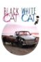 Watch Black Cat, White Cat Streaming