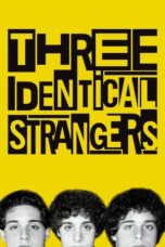 Watch Three Identical Strangers Streaming