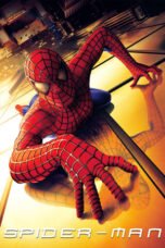 Watch Spider-Man (2002) Streaming