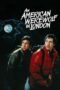 Watch An American Werewolf in London Streaming