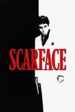 Watch Scarface Streaming
