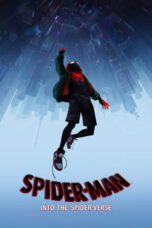 Watch Spider-Man: Into the Spider-Verse Streaming