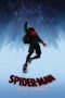 Watch Spider-Man: Into the Spider-Verse Streaming