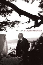 Watch Wild Strawberries Streaming