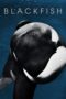 Watch Blackfish Streaming
