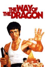 Watch The Way of the Dragon Streaming