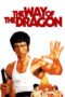 Watch The Way of the Dragon Streaming