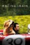 Watch The Art of Racing in the Rain Streaming