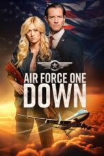 Watch Air Force One Down Streaming