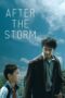 Watch After the Storm Streaming