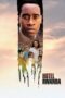 Watch Hotel Rwanda Streaming