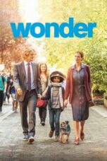 Watch Wonder Streaming