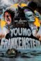 Watch Young Frankenstein Streaming