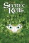 Watch The Secret of Kells Streaming