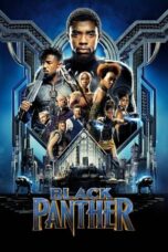 Watch Black Panther Streaming
