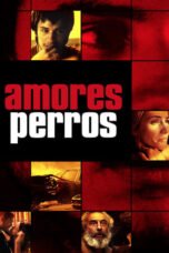 Watch Amores Perros Streaming
