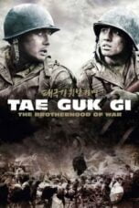 Watch Tae Guk Gi: The Brotherhood of War Streaming
