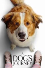 Watch A Dog’s Journey Streaming