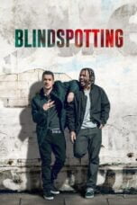 Watch Blindspotting Streaming