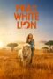 Watch Mia and the White Lion Streaming