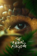 Watch The Animal Kingdom Streaming
