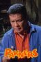 Watch Pakners (2003) Streaming