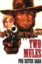 Watch Two Mules for Sister Sara Streaming