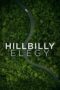 Watch Hillbilly Elegy (2020) Streaming