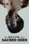 Watch The Killing of a Sacred Deer Streaming
