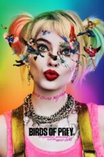 Watch Birds of Prey Streaming