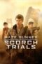 Watch Maze Runner: The Scorch Trials Streaming