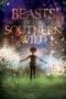 Watch Beasts of the Southern Wild Streaming