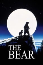 Watch The Bear (1988) Streaming