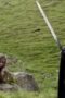 Watch Game of Thrones Season 1 Episode 1 Streaming