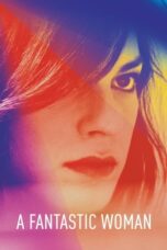 Watch A Fantastic Woman Streaming