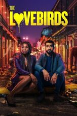 Watch The Lovebirds (2020) Streaming