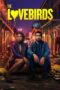 Watch The Lovebirds (2020) Streaming