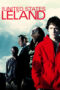 Watch The United States of Leland Streaming