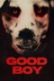 Watch Meg, deg & Frank Streaming