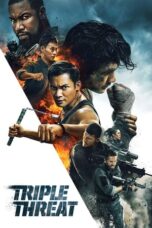 Watch Triple Threat (2019) Streaming