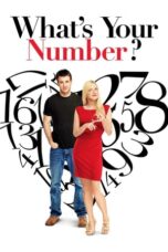 Watch What’s Your Number? Streaming