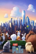 Watch The Secret Life of Pets Streaming